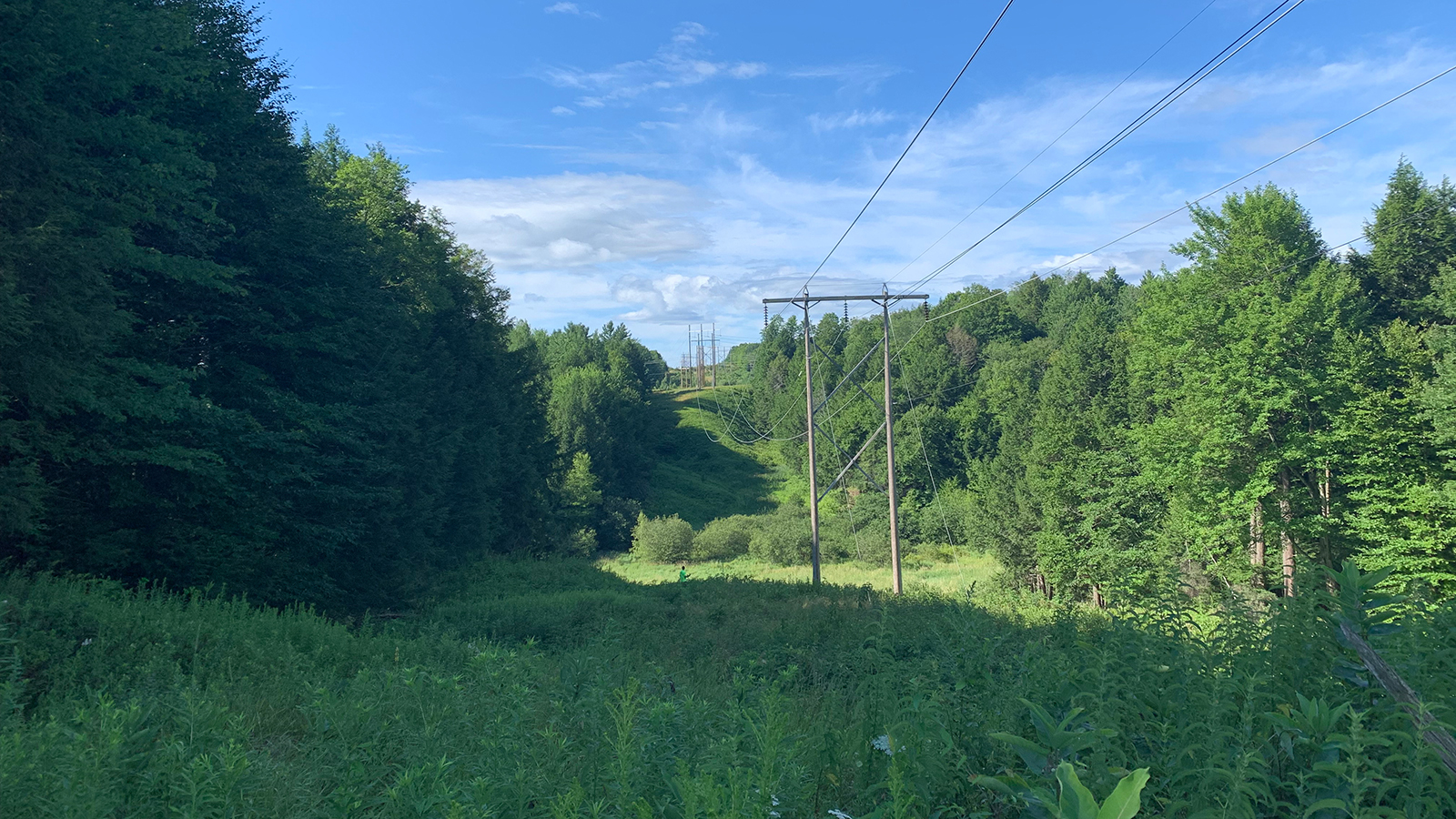 Franklin county landscape with power lines