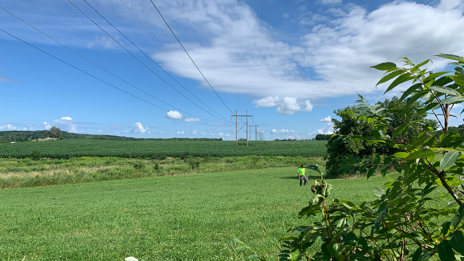 Franklin County power lines landscape