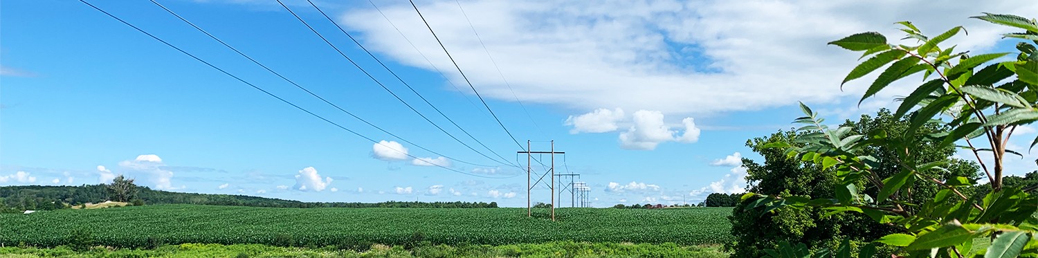 Powerlines against a blue sky and green landscape