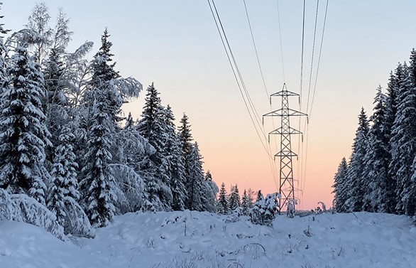 Powerlines in winter landscape