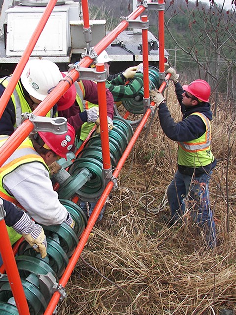 Velco team in the field