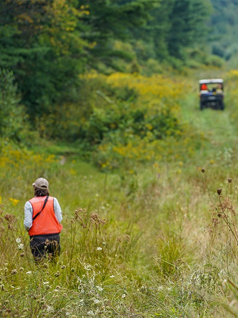 Velco worker in the field