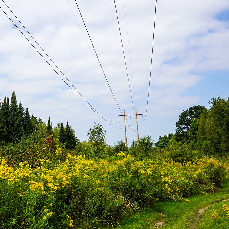 Power line landscape
