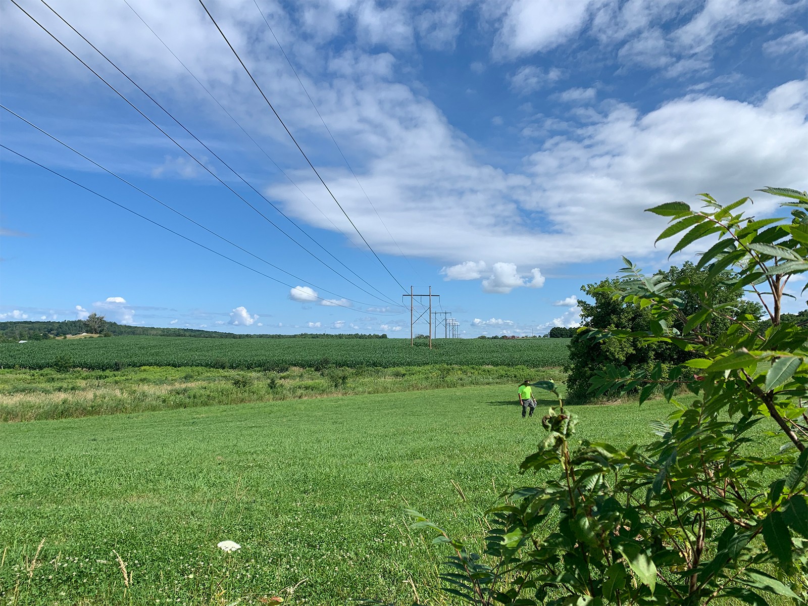 Franklin County power lines landscape
