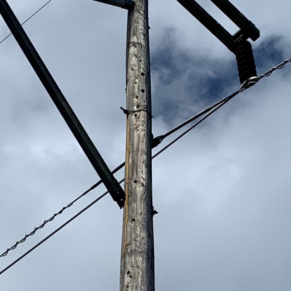 Rotted powerline pole