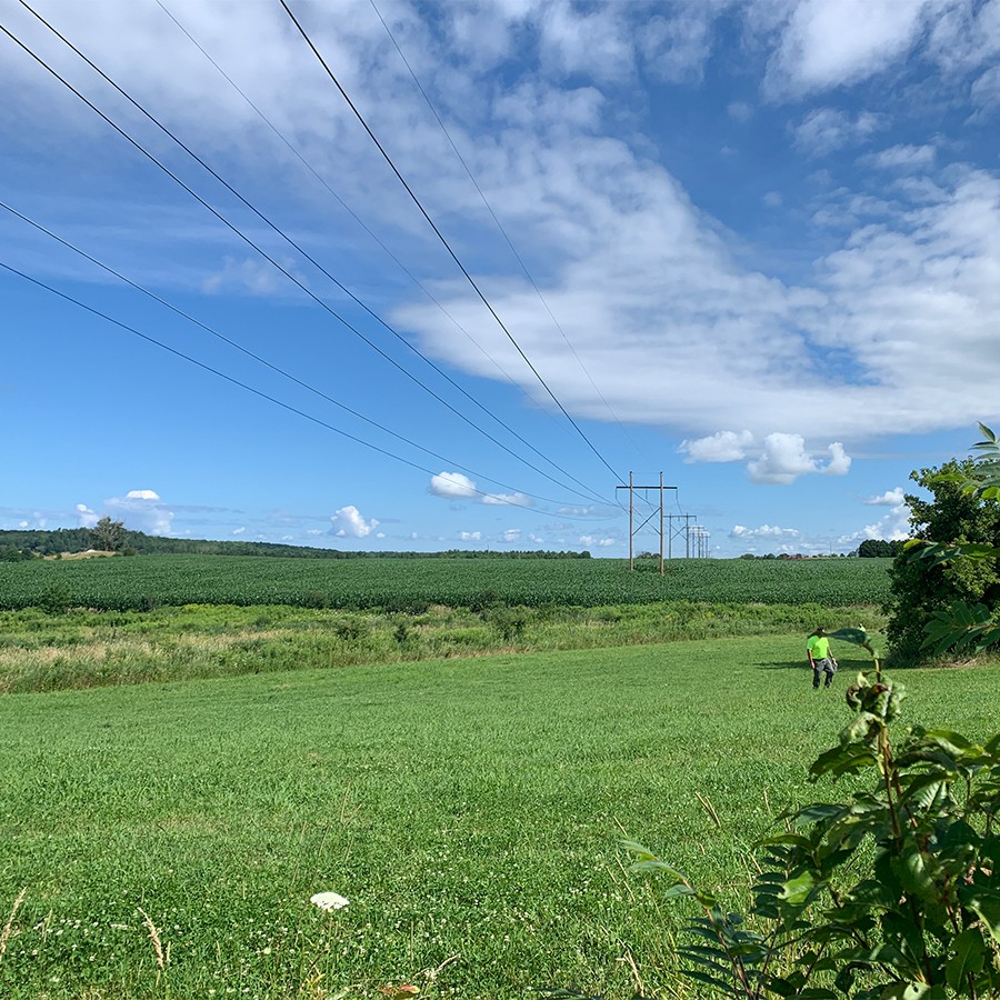 Landscape with powerlines