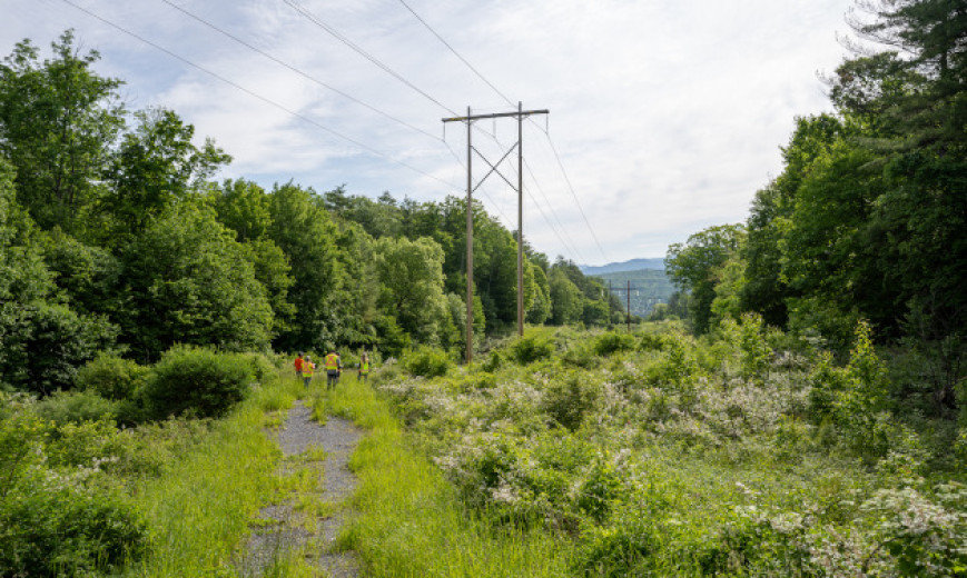 Transmission Project Tout Zone Image